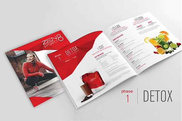 Jeunesse Global Zen Project 8 Nutrition, Fitness and Wellness System